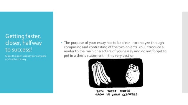 Compare and contrast essay tips