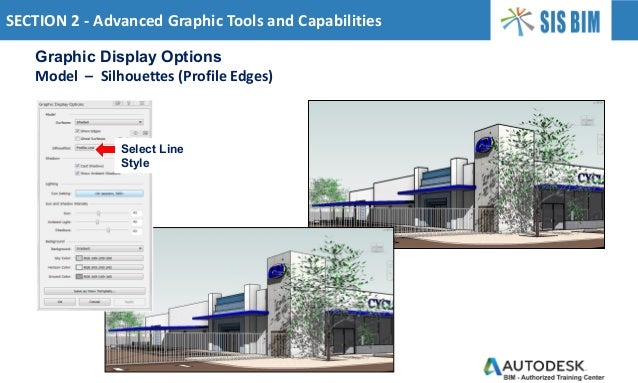 autodesk graphic display options