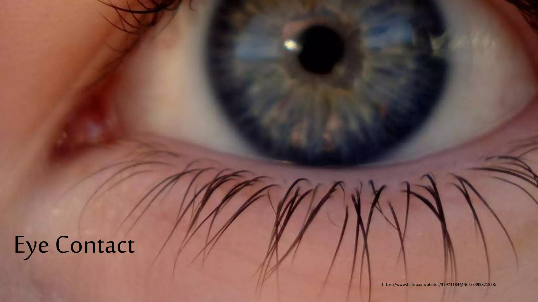 Eye Contact
https://www.flickr.com/photos/37971184@N05/3495821558/
5
 
