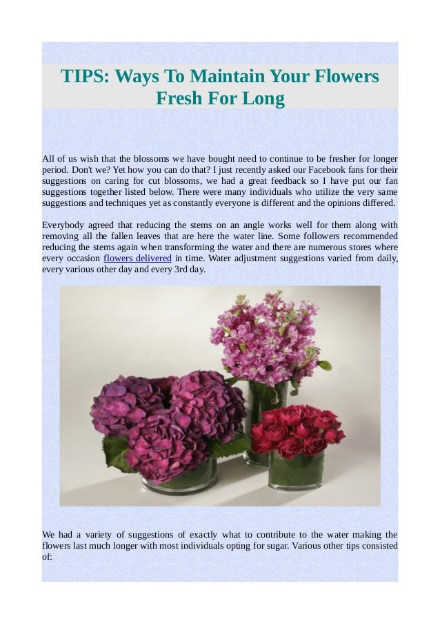 Tips ways to maintain your flowers fresh for long