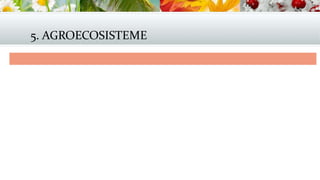 5. AGROECOSISTEME
 