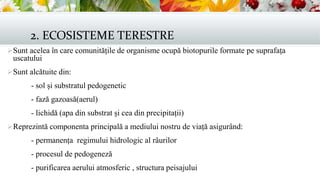 2. ECOSISTEME TERESTRE
Sunt acelea în care comunitățile de organisme ocupă biotopurile formate pe suprafața
uscatului
Sunt alcătuite din:
- sol și substratul pedogenetic
- fază gazoasă(aerul)
- lichidă (apa din substrat și cea din precipitații)
Reprezintă componenta principală a mediului nostru de viață asigurând:
- permanența regimului hidrologic al râurilor
- procesul de pedogeneză
- purificarea aerului atmosferic , structura peisajului
 
