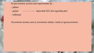 În țara noastră, acestea sunt reprezentate de :
- păduri
- pajiști reprezintă 42% din suprafața țării
- tufărișuri
Ecosisteme terestre sunt și ecosisteme urbane, rurale și agroecosisteme.
 