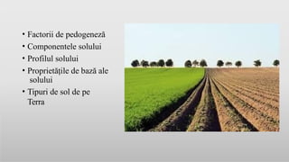Componentele Solului Tipurile-de-Sol.pptxgggggggggggggggggggg | PPTX