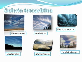 La iridescènciaés un fenomenòpticcaracteritzatcom la propietat de certessuperfícies en les quals el to de la llum varia d'acord a l'angle des del quals'observa la superfície, com en les taques d'oli, les bombolles de sabó, les ales d'unapapallona i elsnúvols. onelssubseqüentscanvis de fase i interferència de les reflexions modulen la llumincident per l'amplificació o atenuació de les diferentsfreqüències.La iridescènciaés causada per múltiples reflexions de la llum en múltiples superfíciessemitransparents, 