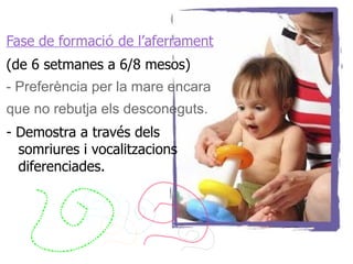 Fase de formació de l’aferrament
(de 6 setmanes a 6/8 mesos)
- Preferència per la mare encara
que no rebutja els desconeguts.
- Demostra a través dels
  somriures i vocalitzacions
  diferenciades.
 