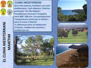 CLIMA DE
MUNTANYA
Localització: en zones
muntanyenques a més de
1000 m. Les precipitacions
augmenten en altura i les
tempe...