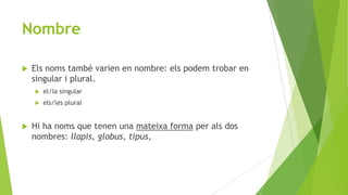 Nombre


Els noms també varien en nombre: els podem trobar en
singular i plural.





el/la singular
els/les plural

Hi ha noms que tenen una mateixa forma per als dos
nombres: llapis, globus, tipus,

 