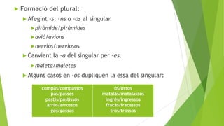 

Formació del plural:
 Afegint

–s, -ns o –os al singular.

 piràmide/piràmides
 avió/avions

 nerviós/nerviosos

 Canviant

la –a del singular per –es.

 maleta/maletes

 Alguns

casos en –os dupliquen la essa del singular:

compàs/compassos
pas/passos
pastís/pastissos
arròs/arrossos
gos/gossos

ós/óssos
matalàs/matalassos
ingrés/ingressos
fracàs/fracassos
tros/trossos

 