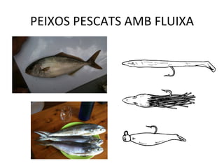 PEIXOS PESCATS AMB FLUIXA 