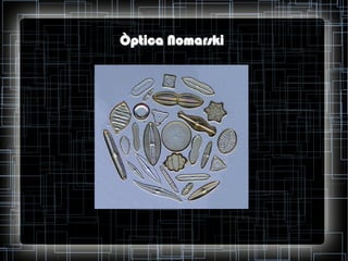 Òptica Nomarski

 