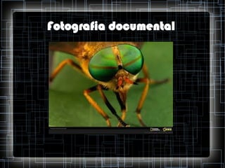 Fotografia documental

 