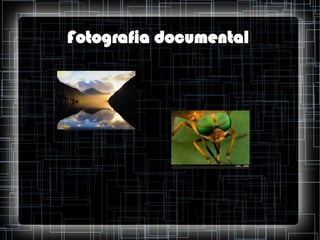 Fotografia documental

 