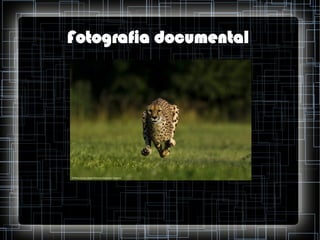 Fotografia documental

 