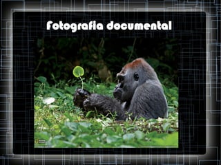 Fotografia documental

 