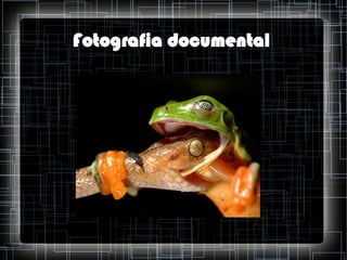 Fotografia documental

 