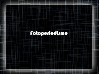 Fotoperiodisme

 