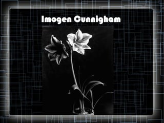 Imogen Cunnigham

 
