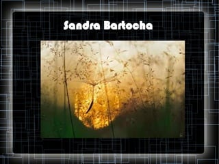 Sandra Bartocha

 