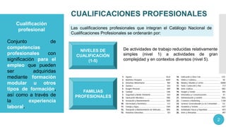 CUALIFICACIONES PROFESIONALES
Cualificación
profesional
Conjunto de
competencias
profesionales con
significación para el
empleo que pueden
ser adquiridas
mediante formación
modular u otros
tipos de formación,
así como a través de
la experiencia
laboral.
NIVELES DE
CUALIFICACIÓN
(1-5)
FAMILIAS
PROFESIONALES
De actividades de trabajo reducidas relativamente
simples (nivel 1) a actividades de gran
complejidad y en contextos diversos (nivel 5).
Las cualificaciones profesionales que integran el Catálogo Nacional de
Cualificaciones Profesionales se ordenarán por:
2
 