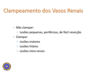 Dissecção do Pedículo Renal