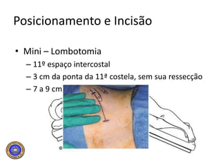Below Graph: A = ≤ 2 cm; B = 2 to 4 cm; C = 4 to 7 cm