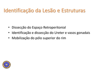 Even though they witnessed increasing use of partial nephrectomy over the past two decades, nationwide, the use of nephron sparing surgery “remains relatively infrequent, even for the smallest renal masses.”Miller et al.: Journal of Urology 175:853-858, 2006 