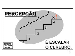 CÉREBRO  : UMA VISTA . LATERAL . x   ! 1 4 3 2 É ESCALAR O CÉREBRO. 0 PERCEPÇÃO PERCEPÇÃO 