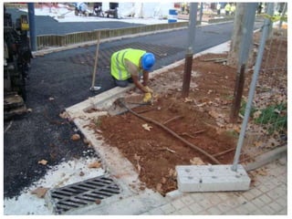 Treballs de Jardineria al Tirant lo Blanch