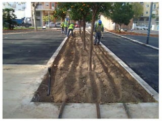 Treballs de Jardineria al Tirant lo Blanch