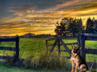 Me dei conta e tava apaixonado
Falando pelos cantos, sozinho
Querendo tanto, meu Pai, dar carinho
E a desgraçada , nem aí...
 