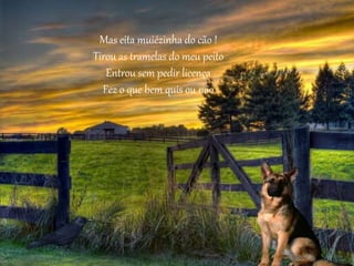 Mas eita muiézinha do cão !
Tirou as tramelas do meu peito
Entrou sem pedir licença
Fez o que bem quis ou não
 