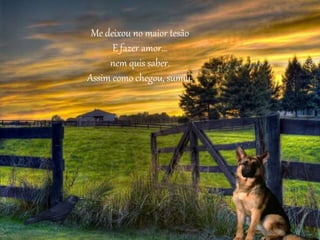 Me deixou no maior tesão
E fazer amor...
nem quis saber.
Assim como chegou, sumiu.
 