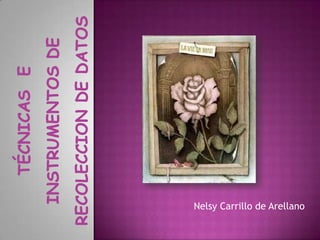 Nelsy Carrillo de Arellano
 