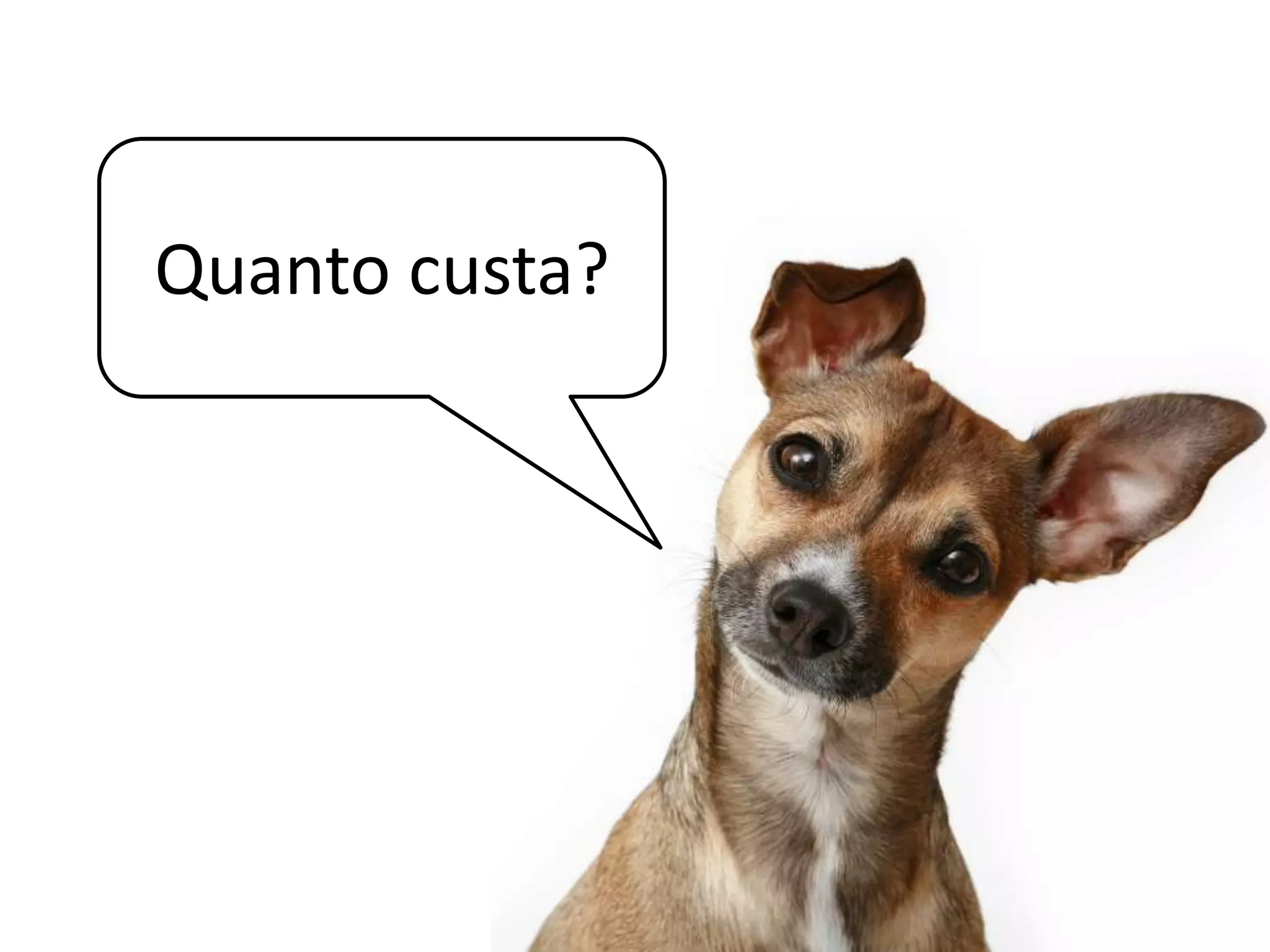 Plataforma de negóciosContato com administradores