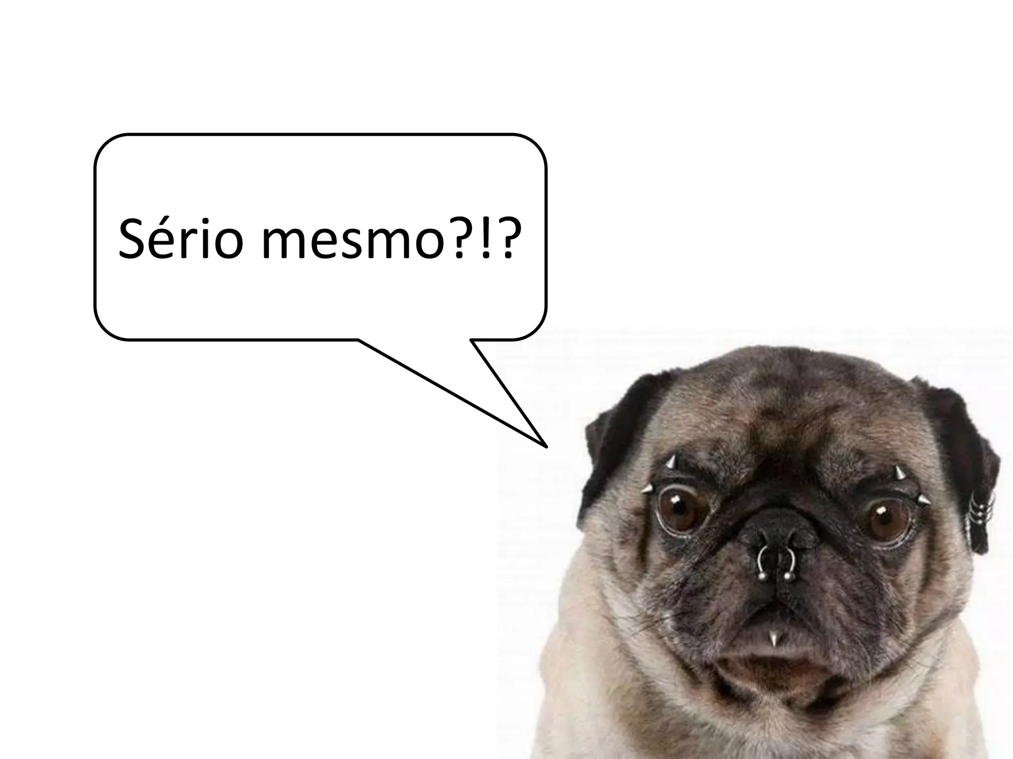 Diretório de empresasAmbiente favorável