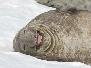 Avaliações de quem já fez negócios