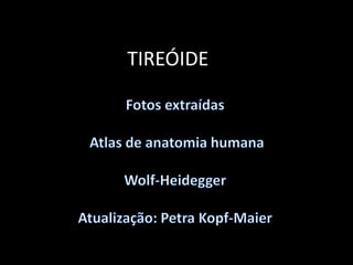 TIREÓIDE Fotos extraídas   Atlas de anatomia humana Wolf-Heidegger Atualização: Petra Kopf-Maier 