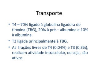 Transporte T4 – 70% ligado à globulina ligadora de tiroxina (TBG), 20% à pré – albumina e 10% à albumina. T3 ligada principalmente à TBG. As  frações livres de T4 (0,04%) e T3 (0,3%), realizam atividade intracelular, ou seja, são ativos.  