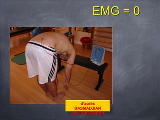 d’après
BASMADJIAN
puis SHIVONENN
EMG = 0
 