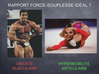 OBÉSITÉ
MUSCULAIRE
HYPERMOBILITÉ
ARTICULAIRE
RAPPORT FORCE-SOUPLESSE IDÉAL ?
 