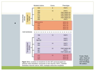 Tireoidectomia Profilática

Fonte: Shah,
Jatin. Head an
Neck Surgery
and Oncology,
4th edition.
 