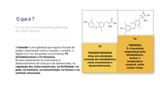 T3
TRIIODOTIRONINA
Atua em atividades
normais do metabolismo,
como crescimento e
desenvolvimento.
T4
TIROXINA
É o hormônio
responsável pelo
metabolismo,
humor e
temperatura
corporal, entre
outras coisas
O que é ?
É uma das mais importantes glândulas
do corpo humano.
A tireoide é uma glândula que regula a função de
órgãos importantes como o coração, o cérebro, o
fígado e os rins. Ela produz os hormônios T3
(triiodotironina) e T4 (tiroxina).
Ela atua diretamente no crescimento e
desenvolvimento de crianças e de adolescentes, na
regulação dos ciclos menstruais, na fertilidade, no
peso, na memória, na concentração, no humor e no
controle emocional.
 