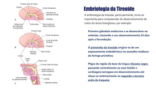 Embriologia da Tireoide
A embriologia da tireoide, particularmente, torna-se
importante para compreensão do desenvolvimento de
cistos do ducto tireoglosso, por exemplo.
• Primeira glândula endócrina a se desenvolver no
embrião, iniciando o seu desenvolvimento 24 dias
após a fecundação;
• O primórdio da tireoide origina-se de um
espessamento endodérmico no assoalho mediano
da faringe primitiva;
• Migra da região da base da língua (forame cego),
passando ventralmente ao osso hióide e
cartilagens laríngeas em desenvolvimento até
situar-se anteriormente ao segundo e terceiro
anéis da traqueia;
 