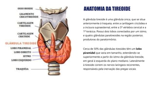 ANATOMIA DA TIREOIDE
A glândula tireoide é uma glândula única, que se situa
anteriormente à traqueia, entre a cartilagem cricóidea e
a incisura supraesternal, entre a 5ª vértebra cervical e a
1ª torácica. Possui dois lobos conectados por um istmo,
e quatro glândulas paratireoides na região posterior,
produtoras do paratormônio.
Cerca de 50% das glândulas tireoides têm um lobo
piramidal que varia em tamanho, estendendo-se
superiormente a partir do istmo da glândula tireoide,
em geral à esquerda do plano mediano. Lateralmente
à tireoide correm os nervos laríngeos recorrentes,
responsáveis pela inervação das pregas vocais.
 