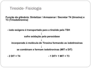 Tireoide- Fisiologia
 
