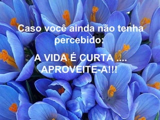 Caso você ainda não tenha percebido:  A VIDA É CURTA .... APROVEITE-A!!!  