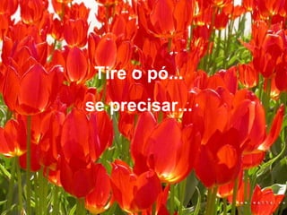Tire o pó...  se precisar...  