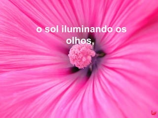 o sol iluminando os olhos,  