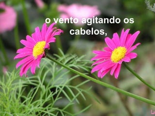 o vento agitando os cabelos,  